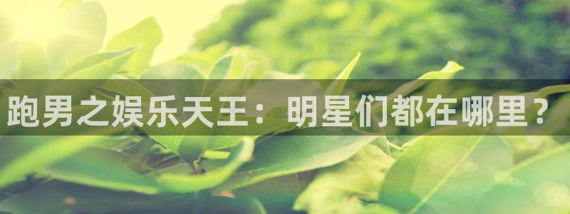 银河娱乐3官网登录：跑男之娱乐天王：明星们都在哪里？