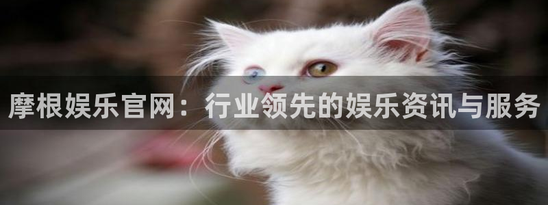 东莞市银河娱乐电子科技有限公司：摩根娱乐官网：行业领先的娱乐资讯与服务