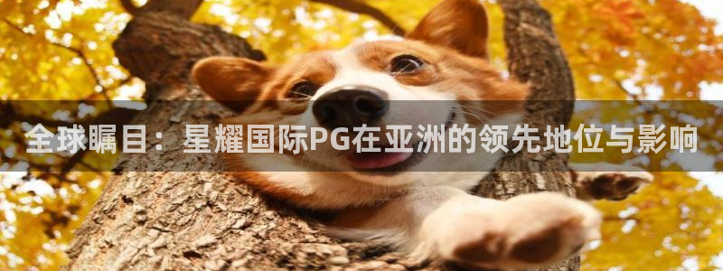 银河娱乐体育官网入口登录：全球瞩目：星耀国际PG在亚洲的领先地位与影响