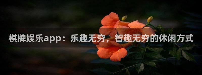 银河娱乐体育平台开号链接：棋牌娱乐app：乐趣无穷，智趣无穷的休闲方式