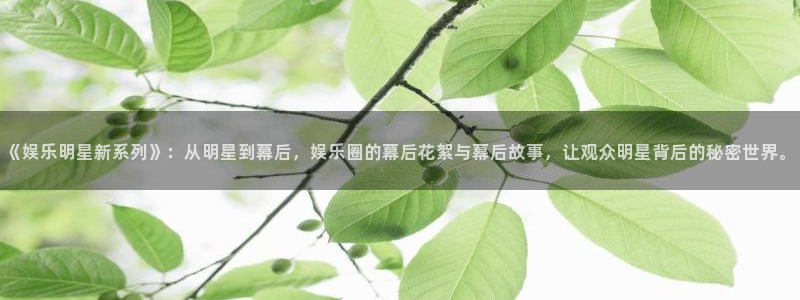 银河娱乐代理：《娱乐明星新系列》：从明星到幕后，娱乐圈的幕后花絮与幕后故事，让观