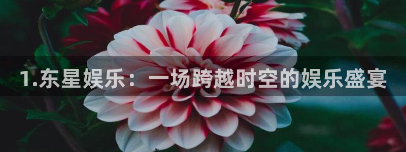 银河娱乐平台在线注册：1.东星娱乐：一场跨越时空的娱乐盛宴