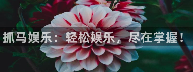 银河娱乐平台招商：抓马娱乐：轻松娱乐，尽在掌握！