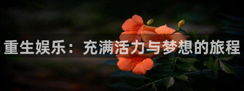 银河娱乐体育平台注册：重生娱乐：充满活力与梦想的旅程