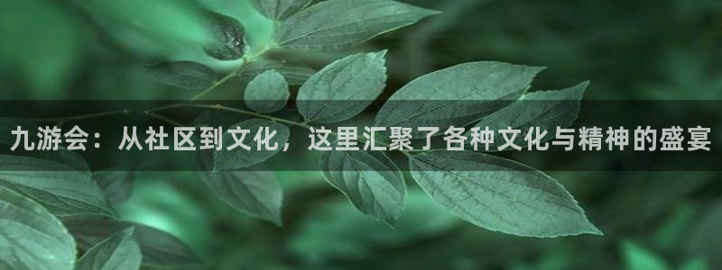 银河娱乐凯捷注册：九游会：从社区到文化，这里汇聚了各种文化与精神的盛宴