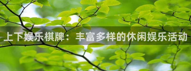 银河娱乐体育2：上下娱乐棋牌：丰富多样的休闲娱乐活动
