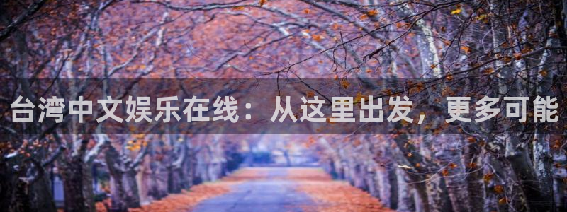 上海银河娱乐汽车电子有限公司：台湾中文娱乐在线：从这里出发，更多可能