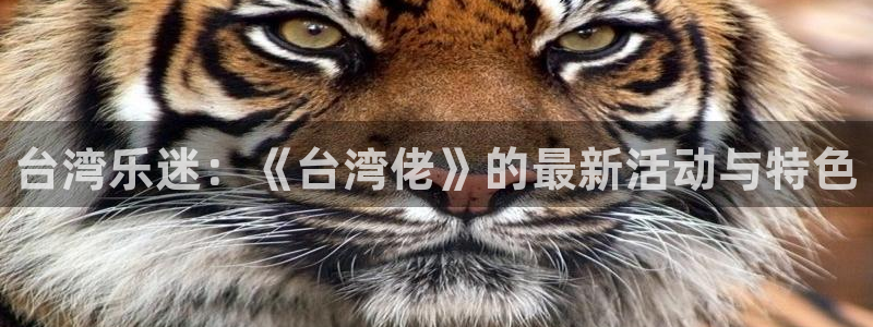 银河娱乐体育老板是谁：台湾乐迷：《台湾佬》的最新活动与特色