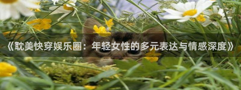 银河娱乐3平台登录注册：《耽美快穿娱乐圈：年轻女性的多元表达与情感深度》