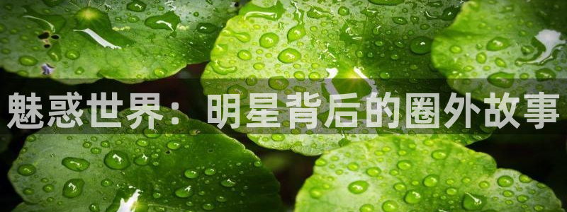 银河娱乐登录注册：魅惑世界：明星背后的圈外故事