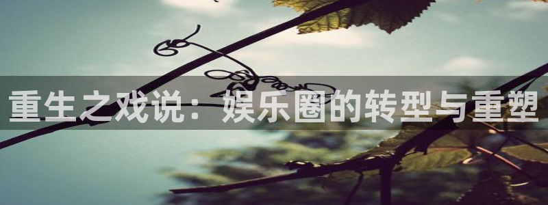 银河娱乐体育注册：重生之戏说：娱乐圈的转型与重塑