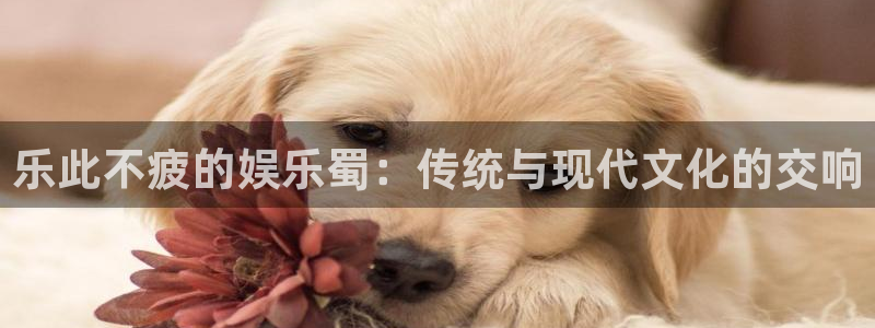 银河娱乐平台在线注册：乐此不疲的娱乐蜀：传统与现代文化的交响