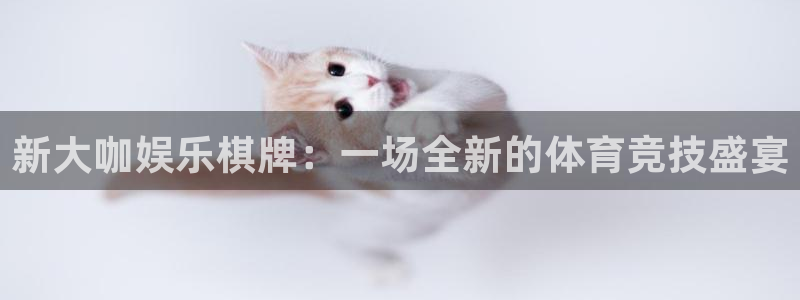 银河娱乐游戏有哪些好玩的：新大咖娱乐棋牌：一场全新的体育竞技盛宴