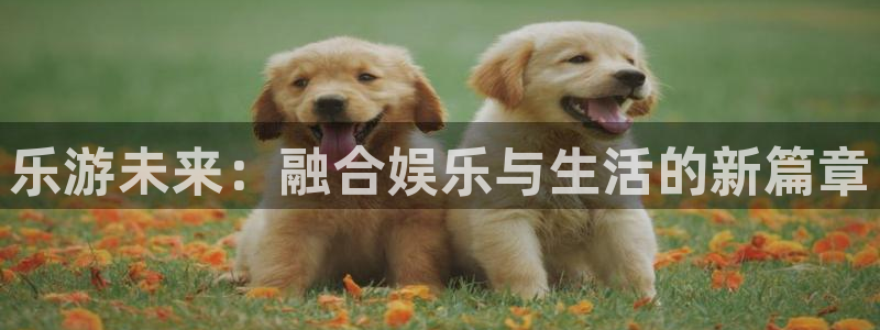 上海银河娱乐汽车电子有限公司：乐游未来：融合娱乐与生活的新篇章