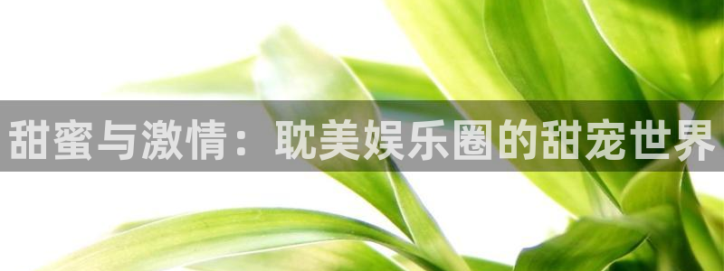 www.银河娱乐体育.com：甜蜜与激情：耽美娱乐圈的甜宠世界