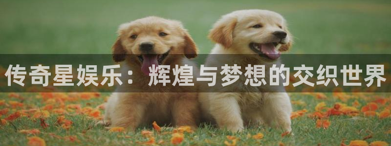 银河娱乐4开户：传奇星娱乐：辉煌与梦想的交织世界