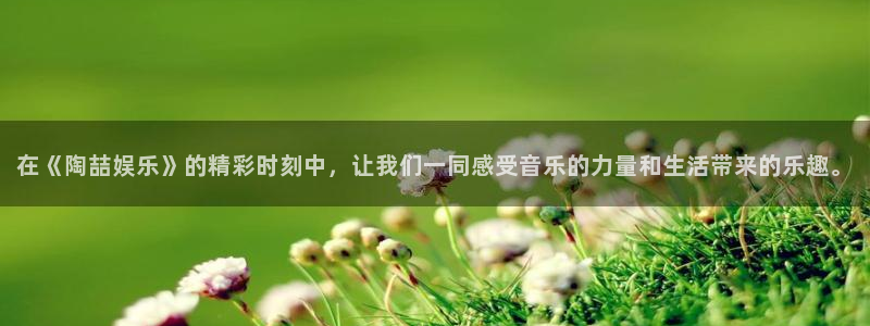 银河娱乐集团股票：在《陶喆娱乐》的精彩时刻中，让我们一同感受音乐的力量和生活带来