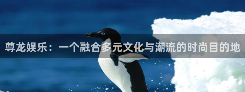 银河娱乐官网：尊龙娱乐：一个融合多元文化与潮流的时尚目的地