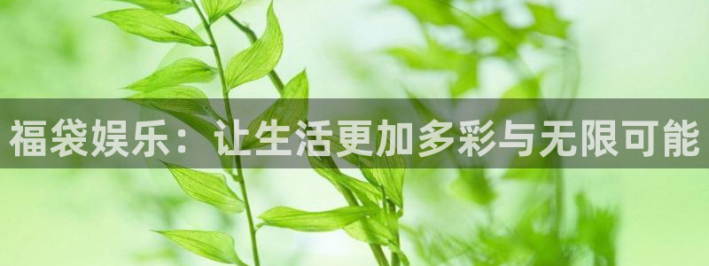 银河娱乐体育热门赛事有哪些：福袋娱乐：让生活更加多彩与无限可能
