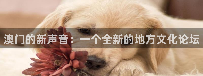 银河娱乐：澳门的新声音：一个全新的地方文化论坛