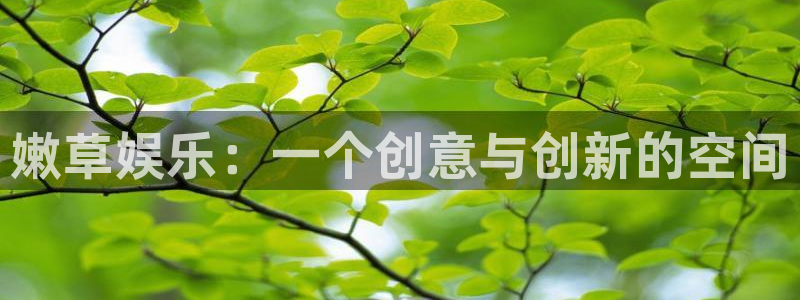 银河娱乐电子有限公司：嫩草娱乐：一个创意与创新的空间