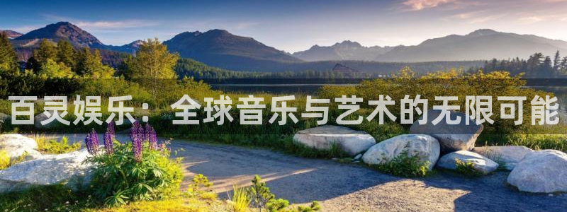 东莞市银河娱乐电子科技有限公司：百灵娱乐：全球音乐与艺术的无限可能