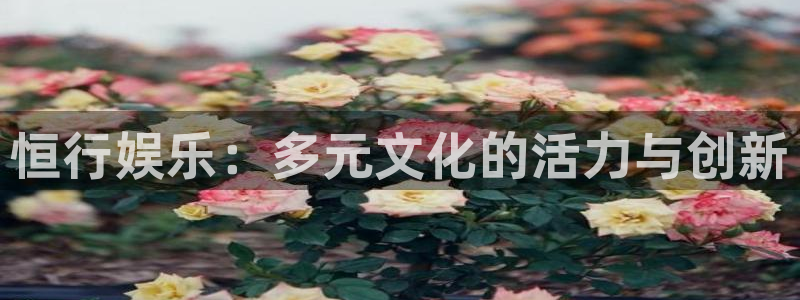 银河娱乐2平台：恒行娱乐：多元文化的活力与创新