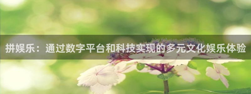 银河娱乐体育：拼娱乐：通过数字平台和科技实现的多元文化娱乐体验