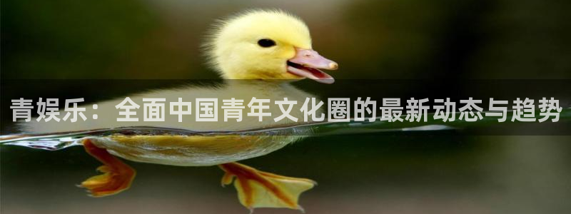 银河娱乐3登录：青娱乐：全面中国青年文化圈的最新动态与趋势